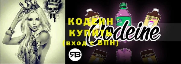 прущий лед Майский