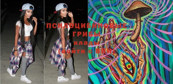 прущие крисы Магадан