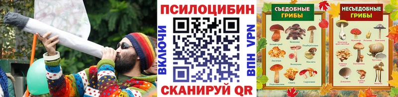 Галлюциногенные грибы мицелий кракен ссылки Цимлянск купить наркоту